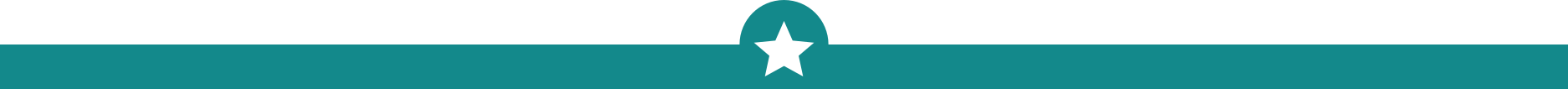 Section divider: star icon on green bar