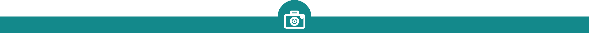 Section divider: camera icon on green bar