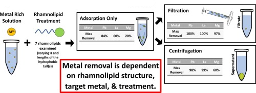 Experimental setup, starting with a metal rich solution and Rhamnolipid treatment. This leads into absorption only, noting the max removal of each metal included in the experiment. Finally, the last stage of either filtration or centrifugation.
