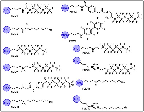 Molecular structures of the 12 Fluor Mop materials.
