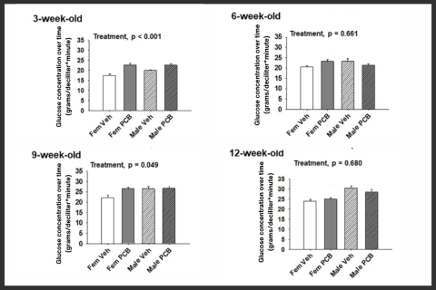 Four bar graphs each reflecting glucose concentrations at 3-, 6-, 9-, and 12-weeks old across male and female mice treated with PCB126 and a comparative control.
