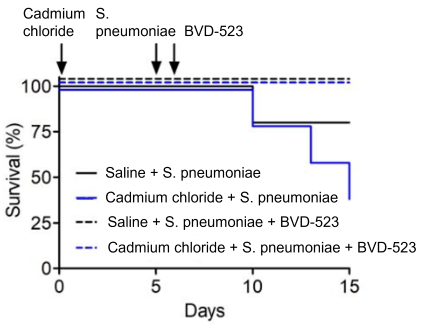 Line graph characterizing mice survival pre- and post-exposure to BVD-523, showing mice survival staying at 100% following exposure in comparison to mice not exposed that show decreasing survival rates between 10 to 15 days.