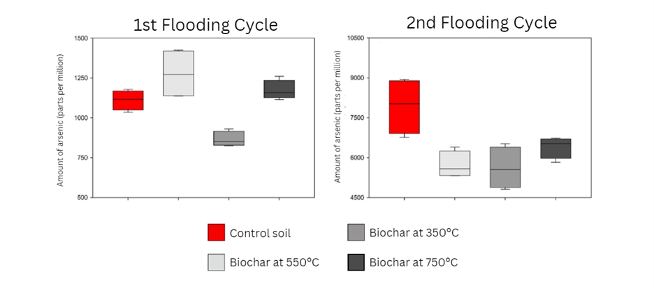 Two box plots showing arsenic concentrations during the 1st and 2nd flooding cycles. The first flood does not show great diversity across the control and three biochar temperatures (350, 550, and 750). The second cycle showed that biochar significantly decresed the arsenic concentrations in the soil, all three biochar temperatures had less arsenic than the lowest noted concentration in the control.