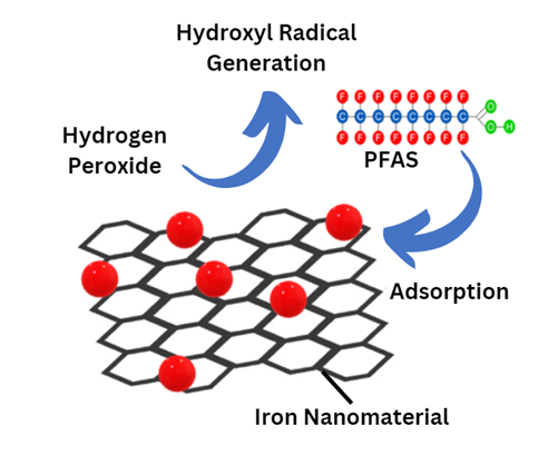 Diagram of iron nanomaterial, hydrogen peroxide, hydroxyl radical generation, PFAS, and adsorption.