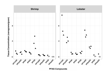 PFAS concentrations, reflected in two charts -- one for shrimp, one for lobster. Higher concentrations of PFOS, PFTrDA, PFUnDA, and PFDoDA.